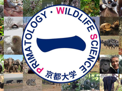 The Leading Graduate Program in Primatology and Wildlife Science