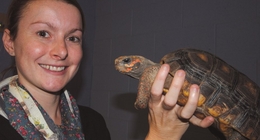 The PrimateCast Talking Cold-blooded Cognition and Conservation with Dr. Anna Wilkinson